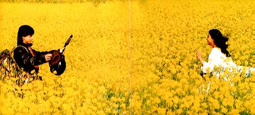 Dilwale Dulhaniya Le Jayenge